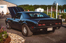 Tamco Paint GM Shadow Gray Metallic in 1968 Chevrolet Camaro