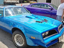 Tamco Paint GM Ultramarine Blue in 1978 Pontiac Trans Am