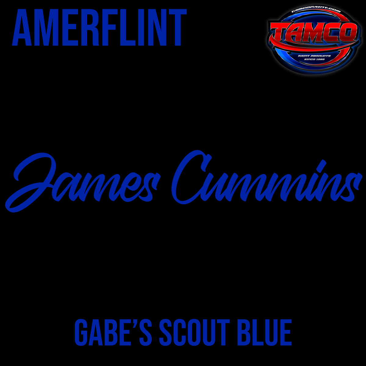 Tamco Paint Gabe's Scout Blue Customer Color