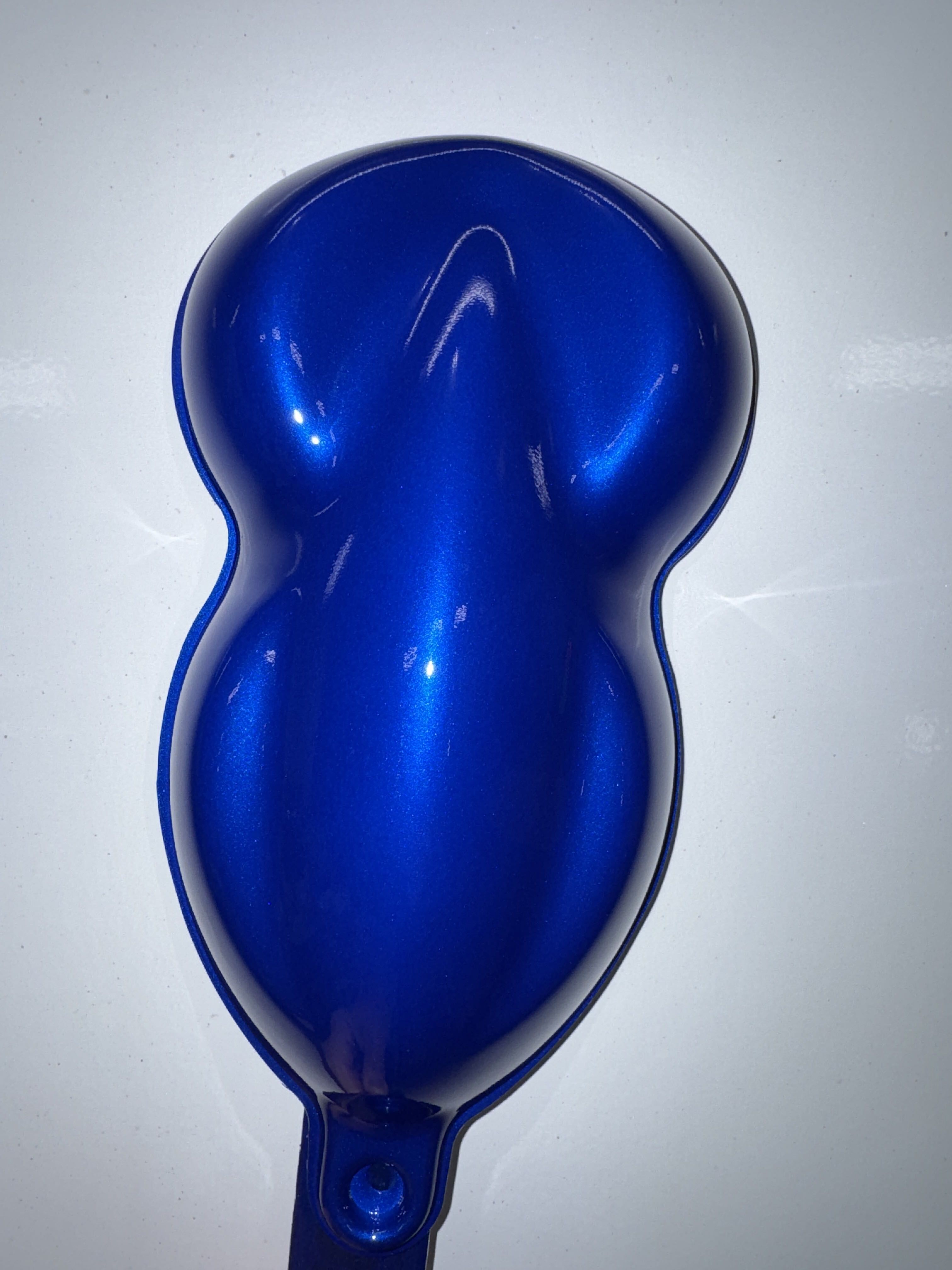 Tamco Paint Gabe's Scout Blue Customer Color