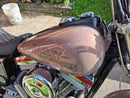 Tamco Paint Ghosted Cranberry in Harley-Davidson Dyna Glide