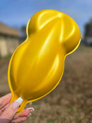 Tamco Paint Custom Color Golden Lime 
