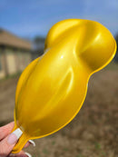 Tamco Paint Custom Color Golden Lime 