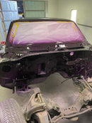 Tamco Paint Grapeness Candy Concentrate in 1972 Chevrolet Chevelle