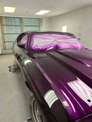 Tamco Paint Grapeness Candy Concentrate in 1972 Chevrolet Chevelle