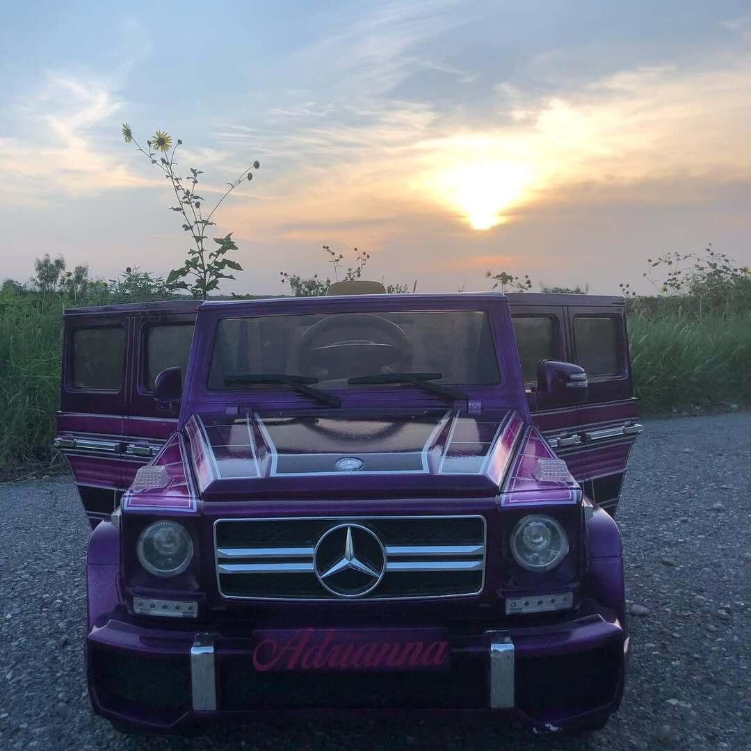 Tamco Paint Grapeness & Punk Rock Pink Candy Pearl Basecoat in Power Wheel G Wagon