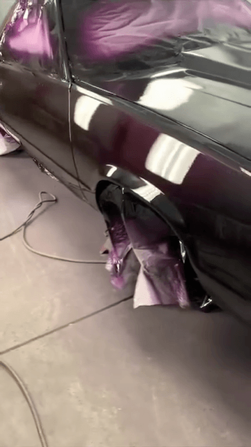 Tamco Paint Grapeness 2K Candy on 1980 Chevy El Camino