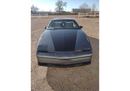 Tamco Paint Gunmetal in 1992 Pontiac Firebird