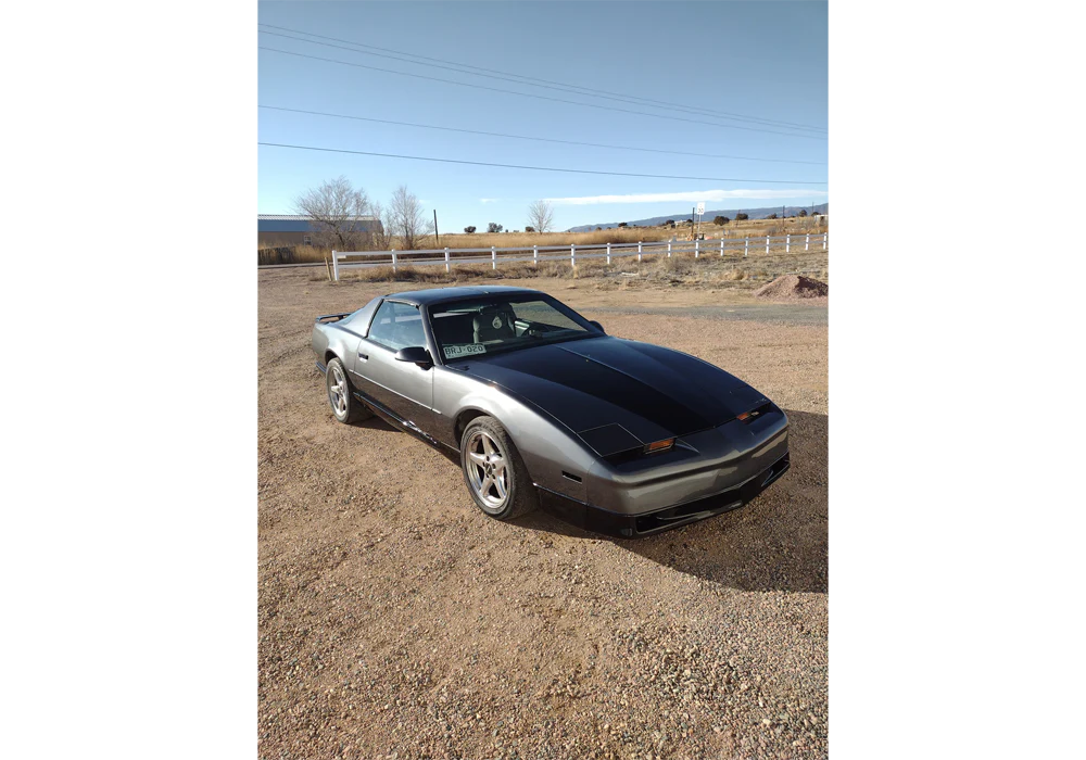 Tamco Paint Gunmetal in 1992 Pontiac Firebird