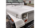 Tamco Paint HB9901 Bright White in Jeep Wrangler