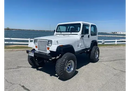 Tamco Paint HB9901 Bright White in Jeep Wrangler