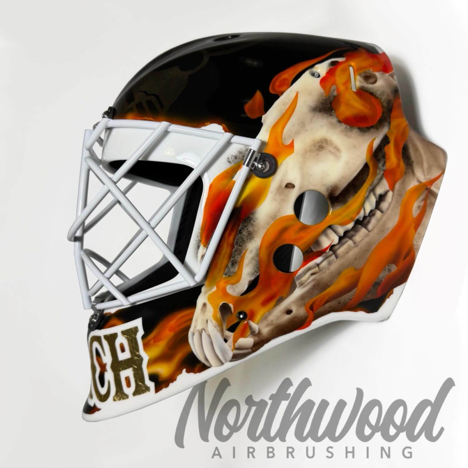 Tamco Paint HC9500 Hi-Speed Impact 30 Min Clearcoat on Hockey Mask
