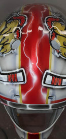 HI-Speed Impact 30 Min Clearcoat Motorcycle Helmet