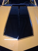 Tamco Paint Honda Rio Yellow OEM Basecoat Color Code: Y65P-S