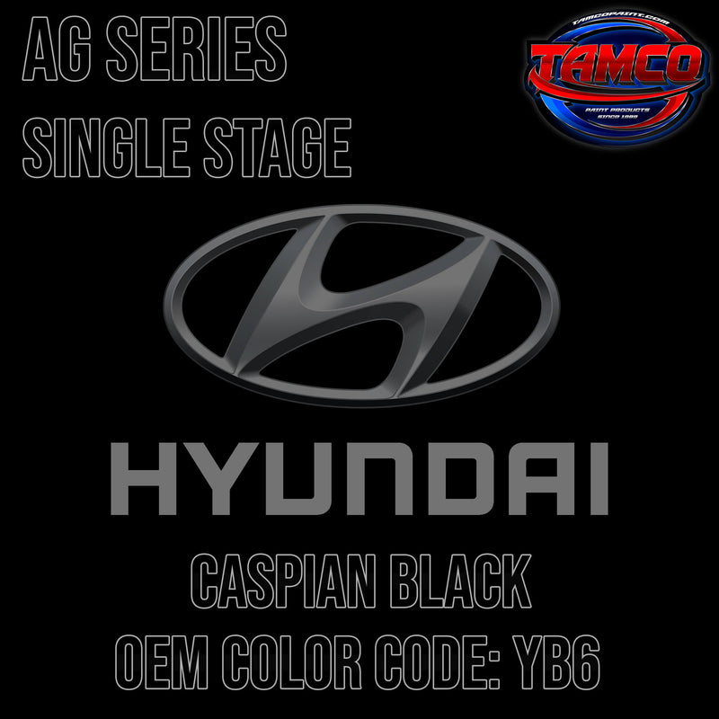 Hyundai Caspian Black