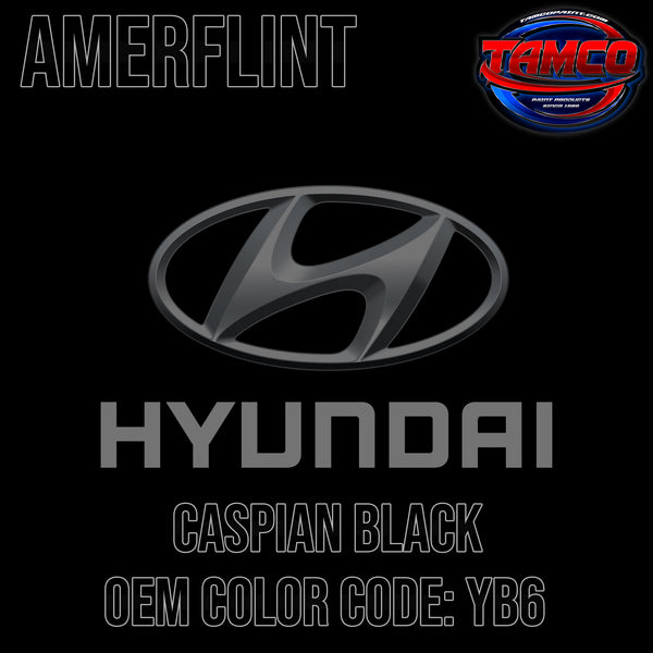 Hyundai Caspian Black | YB6 | 2014-2018 | OEM Amerflint II Series Single Stage