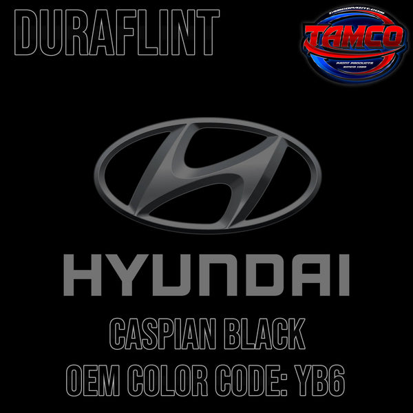 Hyundai Caspian Black 