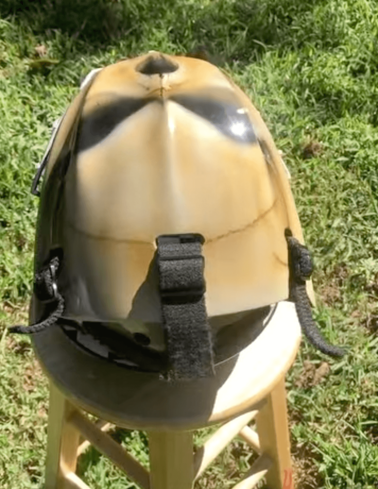 Tamco Paint Tamco Intensities and Butterscotch Schnapps Pearl on Hockey Helmet