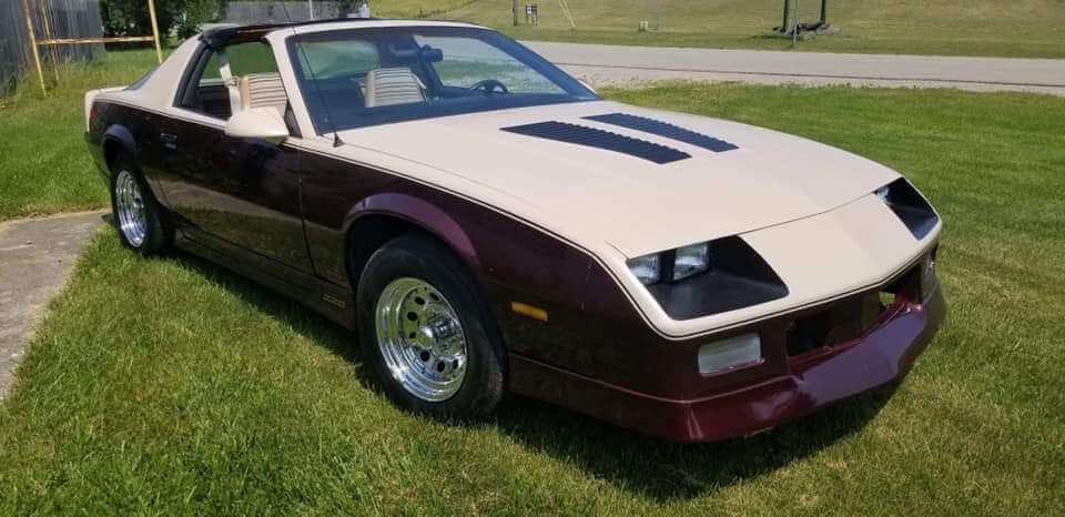 Tamco Paint 1992 Chevrolet Camaro Ivory Pearl 