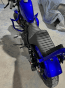 Tamco Paint Kandy Killa Blue Candy Concentrate on Harley-Davidson Sportster