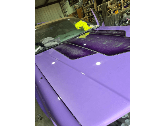 Tamco Paint Lavender Lust Pearl in 1996 Cadillac Fleetwood Brougham