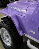 Tamco Paint Lavender Lust Pearl in Jeep Wrangler