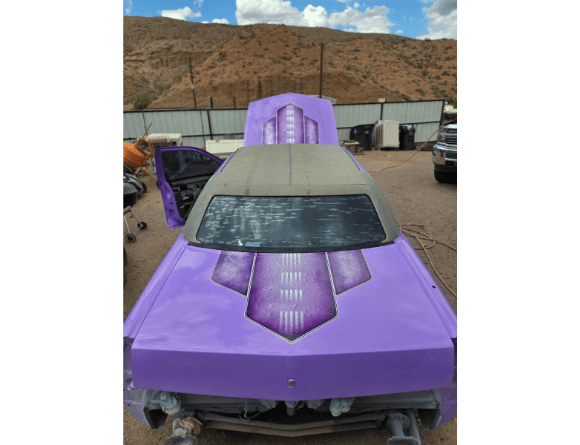 Tamco Paint Lavender Lust Pearl in 1996 Cadillac Fleetwood Brougham