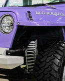 Tamco Paint Lavender Lust Pearl in Jeep Wrangler
