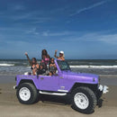  Tamco Paint Lavender Lust Pearl in Jeep Wrangler