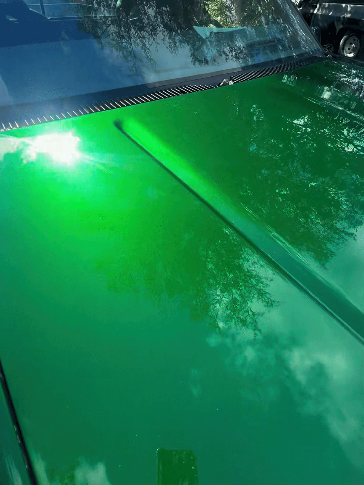 Tamco Paint Lead Sled Green on Chevrolet C/K