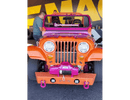 Tamco Paint Lipstick on 1976 Jeep CJ