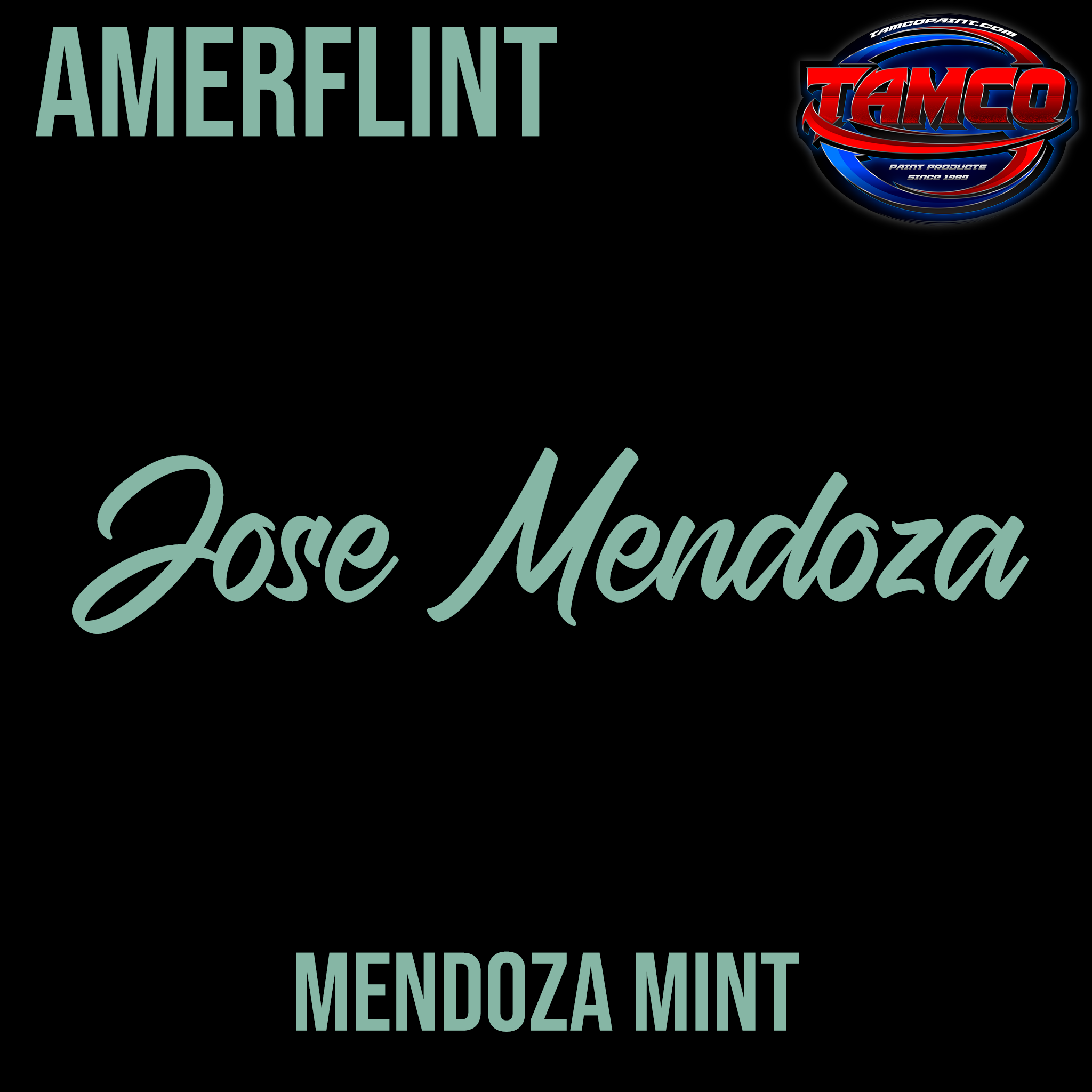 Tamco Paint Customer Color Mendoza Mint by Jose Mendoza in Amerflint II Single Stage