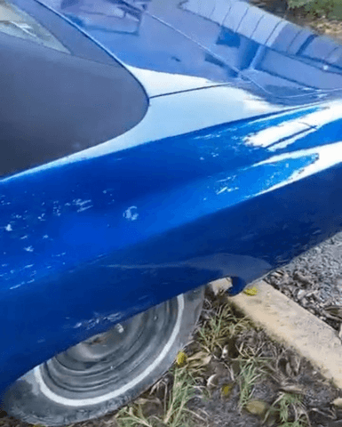 Tamco Paint Monaco Candy Concentrate on Chevrolet Caprice Convertible