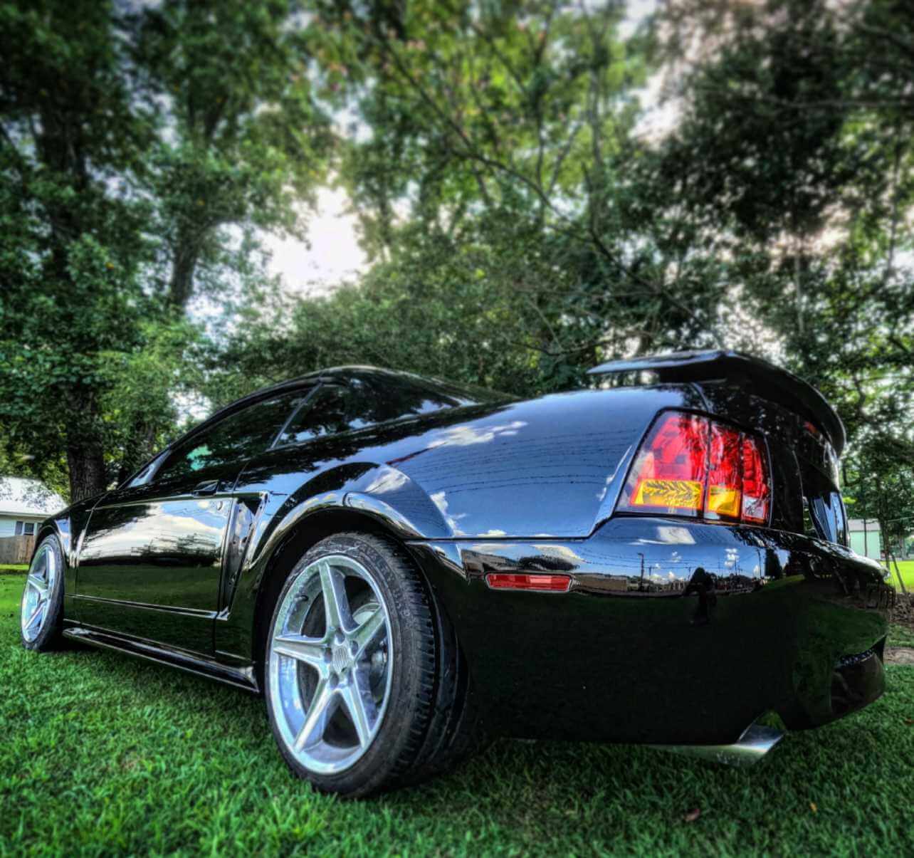 Tamco Paint Murdered Out Black 2.0 on Ford Mustang