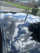 Tamco Paint Murdered Out Black 2.0 on Ford Mustang