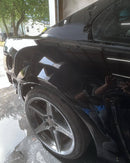 Tamco Paint Murdered Out Black 2.0 on Ford Mustang