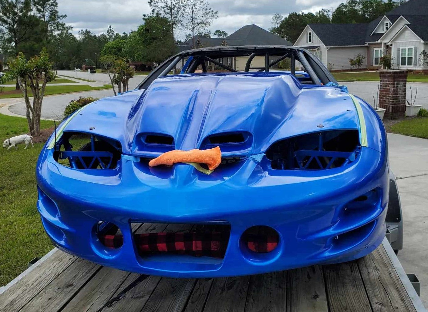 Tamco Paint My Boy Blue on Pontiac Firebird Trans Am