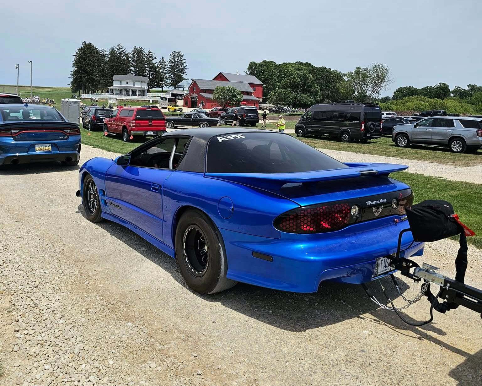 Tamco Paint My Boy Blue on Pontiac Firebird Trans Am