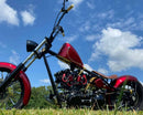 Tamco Paint OG Red Candy Pearl Basecoat in 2012 West Coast Choppers CFL