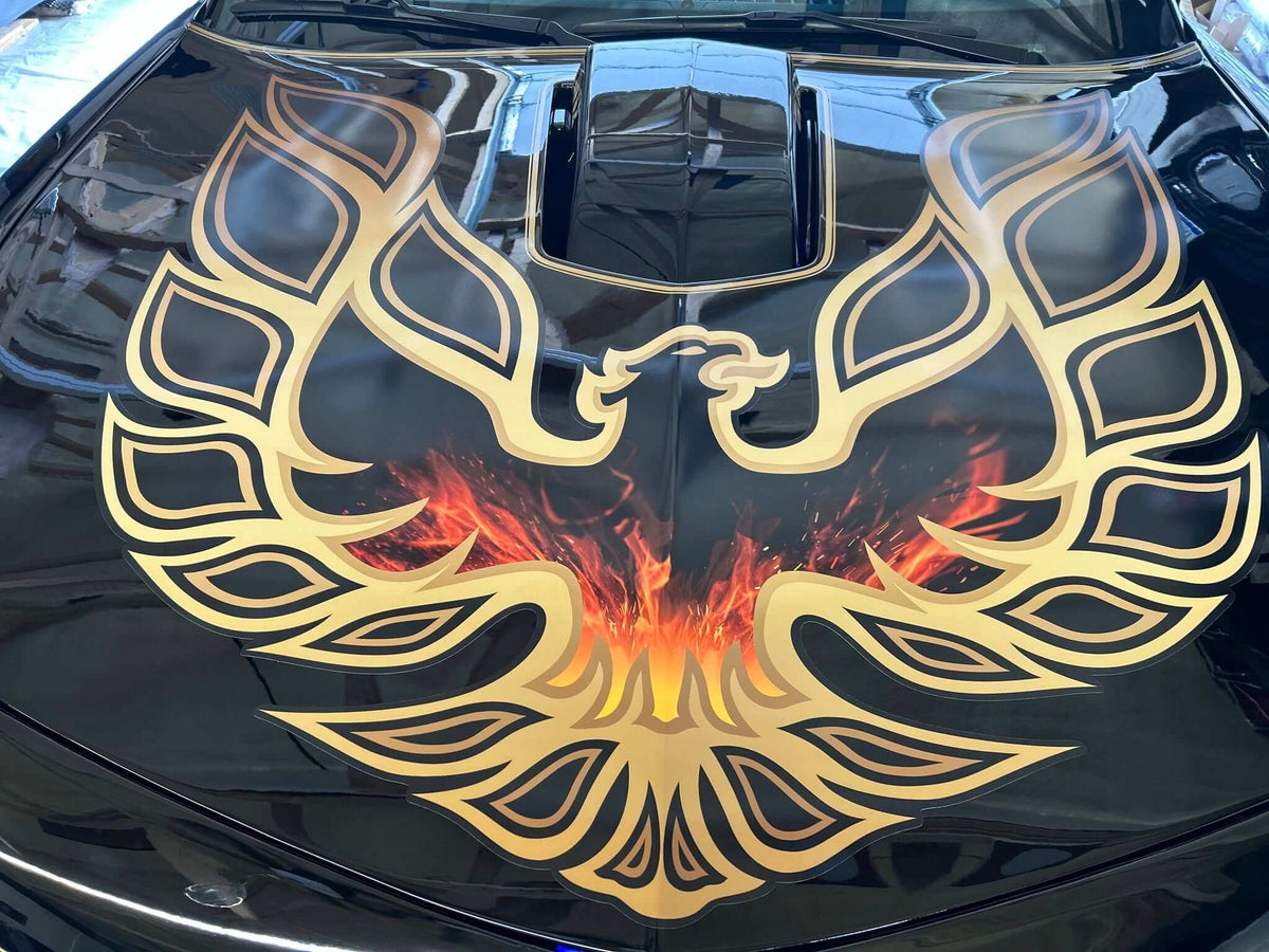 Tamco Paint GM Onyx Black on 2010 Chevrolet Camaro 