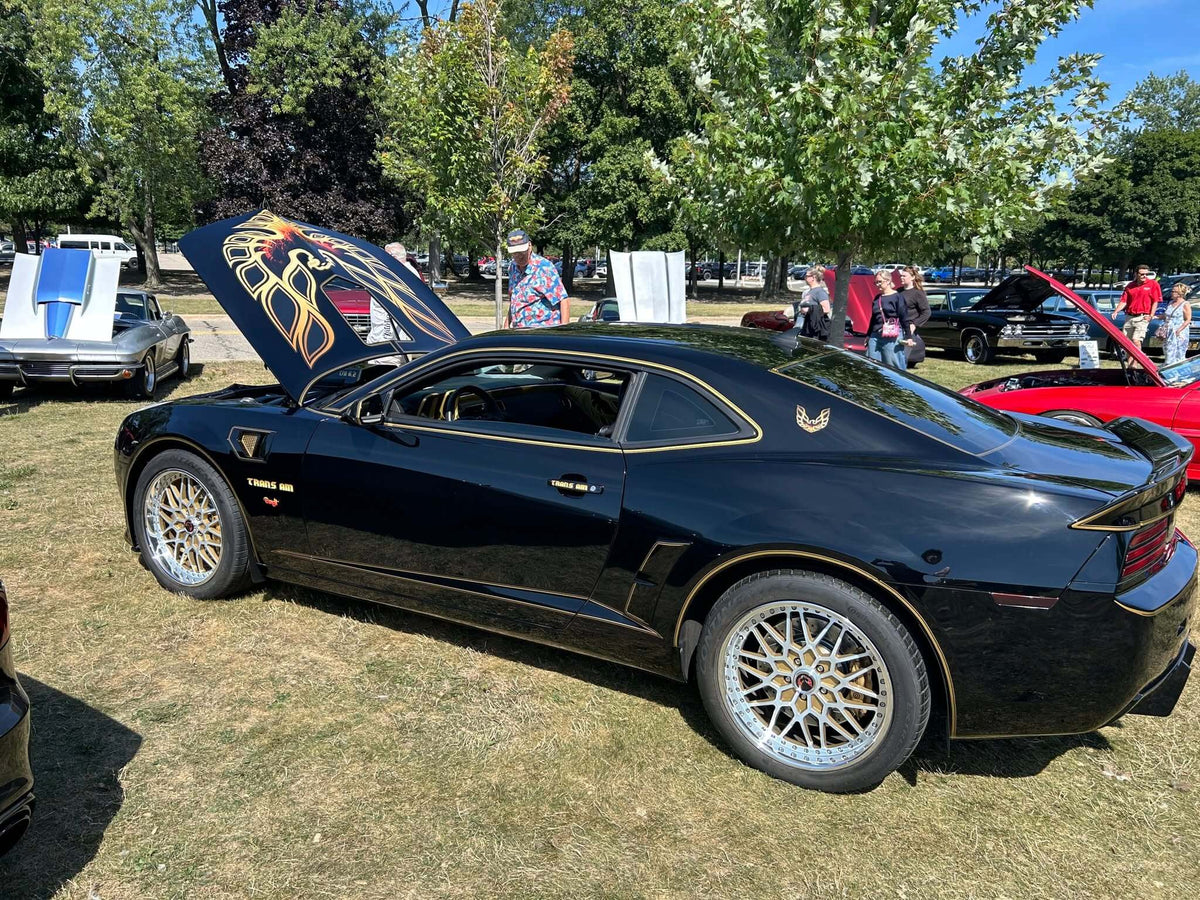 Tamco Paint GM Onyx Black on 2010 Chevrolet Camaro 