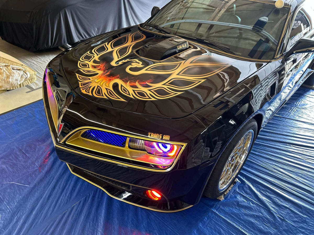 Tamco Paint GM Onyx Black on 2010 Chevrolet Camaro 