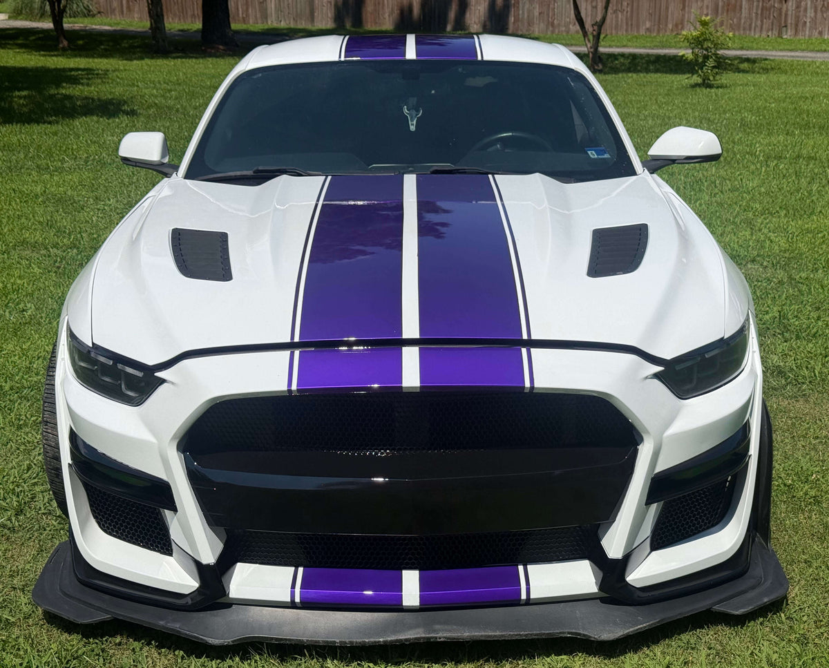 Tamco Paint Ford Oxford White on Ford Mustang 