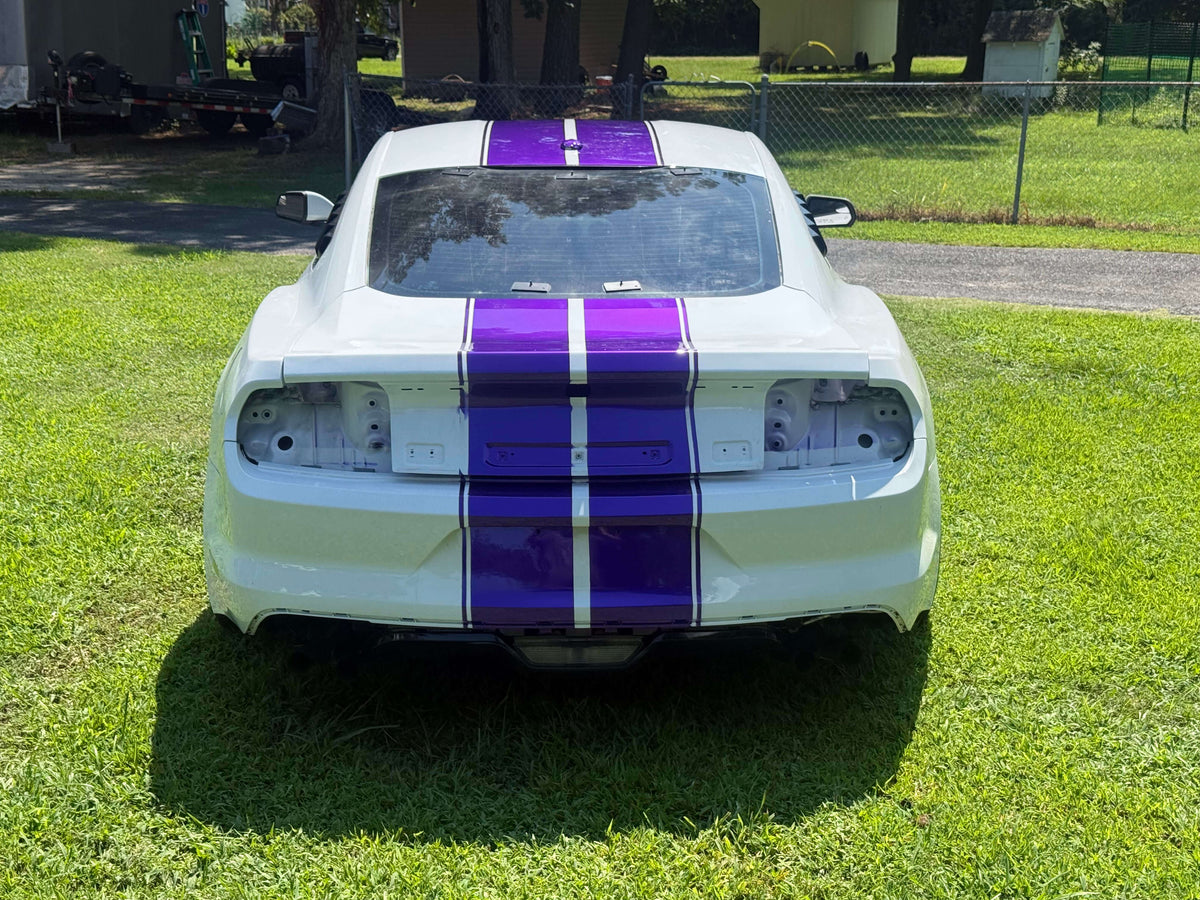 Tamco Paint Ford Oxford White on Ford Mustang 