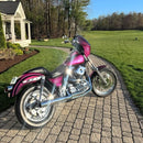 Tamco Paint Tamco Throwback Panther Pink and Bruised Rose Candy Pearl Basecoat on Harley-Davidson FXLR