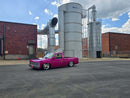 Tamco Paint Piss Off Pink in Nissan D21 Hardbody