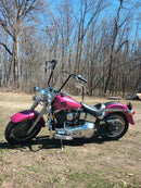 Tamco Paint Custom Color Piss Off Pink in a Motorcycle 
