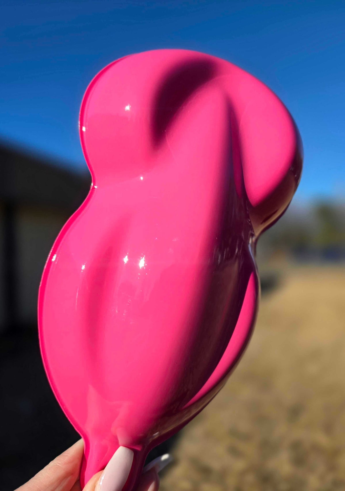 Tamco Paint Custom Color Basecoat Power Pink 
