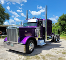 Tamco Paint Purple Pop Pearl