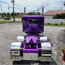 Tamco Paint Purple Pop Pearl